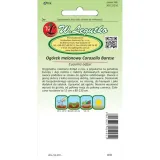 ogorek-melonowy-carosello-barese-legutko-2g-kod-producenta-2088-cv-02