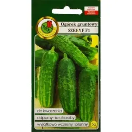 ogorek-gruntowy-szeryf-f1-wczesny-kwaszony-konserwowy-pnos-nasiona