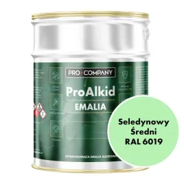 pro-alkid-szybkoschnaca-emalia-alkidowa-5l-seledynowy-sredni-ral-6019
