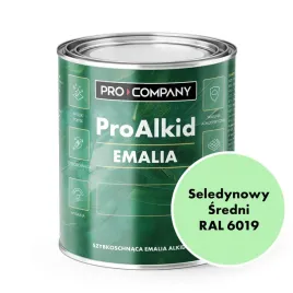 pro-alkid-szybkoschnaca-emalia-alkidowa-1l-seledynowy-sredni-ral-6019