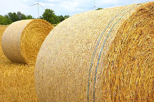 sloma-na-kompost-do-budy-legowisko-dla-psa-sciolka-dla-gryzoni-80l-3kg-pojemnosc-80-l