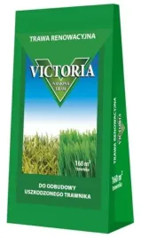 trawa-renowacyjna-4-kg-nasiona-traw-mieszanka-na-gesty-i-zdrowy-trawnik