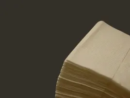 serwetki-33x33cm-bambus-500-sztuk