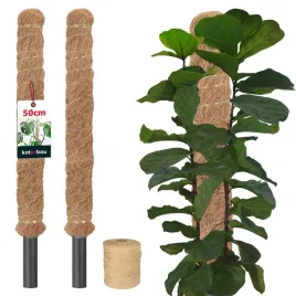 2x-podpora-do-roslin-50-cm-tyczka-palka-wlokno-kokosowe-25-palik-kokosowy