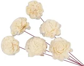 shola-belly-6-cm-bialy-kwiat-na-drucie-kwiatek-6-sztuk-szola-kwiatki-suszki