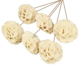 shola-lotos-7cm-lotos-kwiat-na-drucie-kwiatek-6-sztuk-szola-kwiatki-suszki