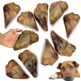 zestaw-10x-naturalny-gryzak-dla-psa-racica-wolowa-z-miesem-animal-food