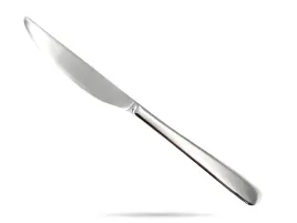 noz-stolowy-23-cm-stal-18-10-rimini-ambition