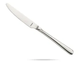 noz-stolowy-215-cm-stal-18-0-astoria-amefa