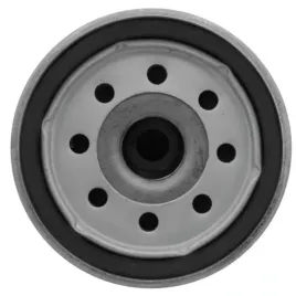 filtr-powietrza-oleju-briggs-796031-olej-swieca