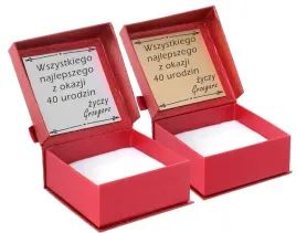 kolczyk-nausznica-kolczyk-cyrkonie-nausznica-srebro-925