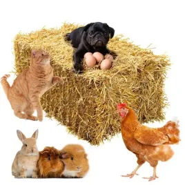 sloma-5kg-legowisko-do-budy-sciolka-dla-krolika-kur-wysciolka-pod-krzewy