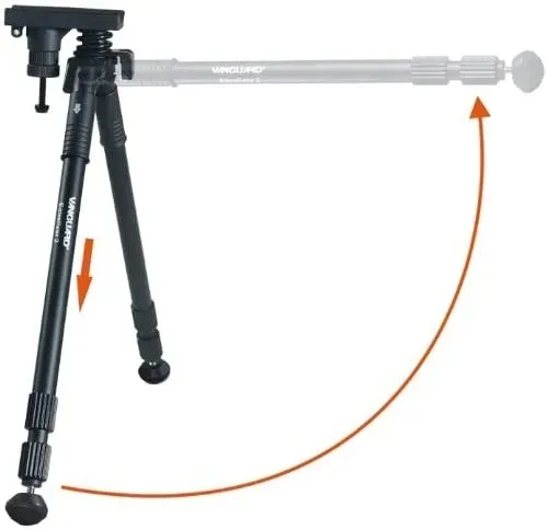 vanguard-equalizer-2-pastoral-stan-nowy-marka-vanguard