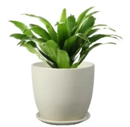 doniczka-ceramiczna-z-podstawka-na-kwiaty-kremowa-ozdobna-13-cm