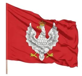 mocna-flaga-polski-godlo-czerwona-historyczna-1918-1919-112x70-cm-tunel