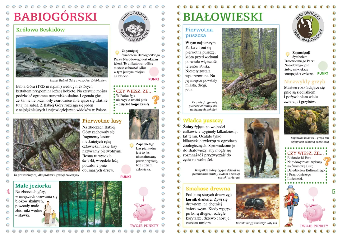 polskie-parki-narodowe-stan-nowy