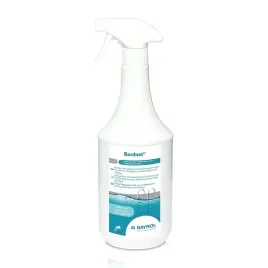 bayrol-bordnet-spray-czyszczenie-linii-brzegowej-basenu-1l-bezbarwny