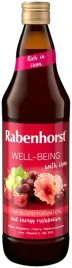 sok-wieloowocowy-z-zelazem-i-witaminami-c-b6-b12-750-ml-rabenhorst