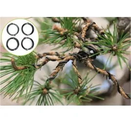 zestaw-narzedzi-ogrodowych-do-pielegnacji-japonskie-drzewko-bonsai-prezent