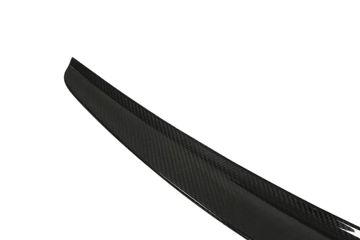 lotka-lexus-gs-lip-carbon-strona-zabudowy-tyl
