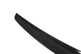lotka-lexus-gs-lip-carbon-strona-zabudowy-tyl
