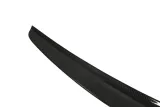 lotka-lexus-gs-lip-carbon-numer-katalogowy-czesci-pp-lt-237