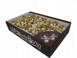 herbatnik-wesole-grzybki-biala-czekolada-1kg
