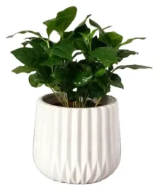 oslonka-ceramiczna-ryflowana-na-kwiaty-ozdobna-13-cm-biala