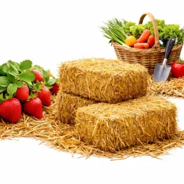 sloma-sciolka-do-ogrodu-pod-warzywa-krzewy-owoce-rosliny-pomidory-xxl