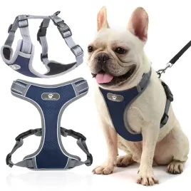 szelki-treningowe-spacerowe-dla-psa-astro-granatowe-rozmiar-s