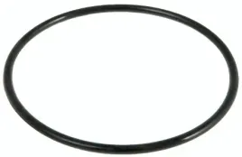 bestway-uszczelka-oring-pod-nakretke-pompy-58499