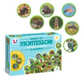 zestaw-kreatywny-dodo-montessori-zestaw-magnesow-montessori-zwierzeta