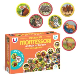 zestaw-kreatywny-dodo-montessori-zestaw-magnesow-montessori-zwierzeta