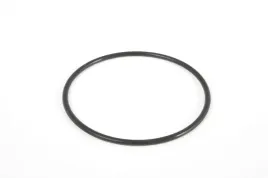 oring-filtra-zgrubnego-pompy-58199-bestway
