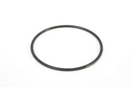 oring-pokrywki-nakretki-filtra-pompy-58257-bestway