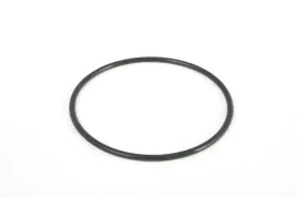 uszczelka-filtra-zgrubnego-pompy-58257-bestway