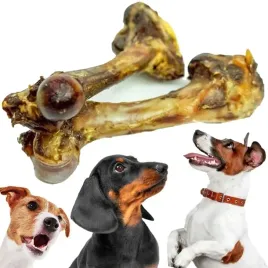 duza-kosc-z-dzika-gryzak-przysmak-dla-psa-suszony-smakolyk-balto-1szt