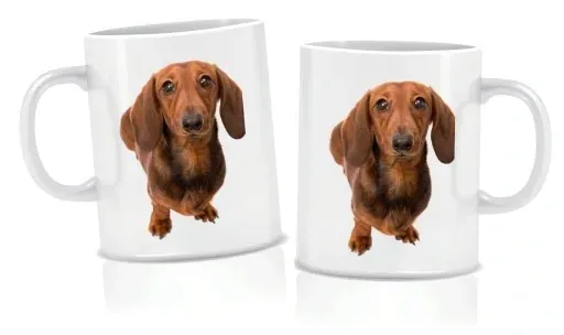 zestaw-poduszka-kubek-jamnik-stan-opakowania-oryginalne