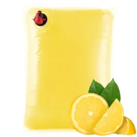sok-z-cytryn-tloczony-100percent-cytryna-nfc-cytrynowy-naturalny-swiezy-5l