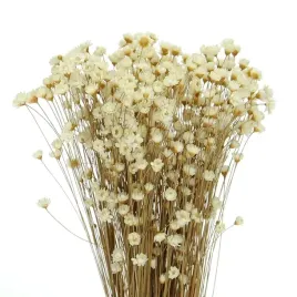 suszona-gliksja-glixia-naturalna-biala-350-szt