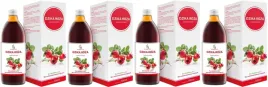 4-sztuki-dzika-roza-500ml-symbiotics-bez-dodatku-cukru-witamina-c-odpornosc