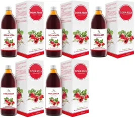 5-sztuk-dzika-roza-500-ml-symbiotics-wspiera-proces-przemiany-materii