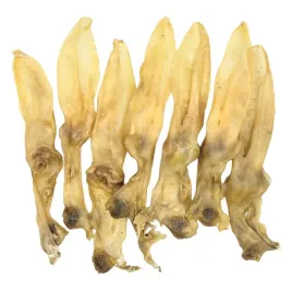 naturalne-gryzaki-dla-psa-suszone-uszy-krolika-miodowe-10-szt-animal-food
