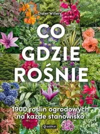 co-gdzie-rosnie