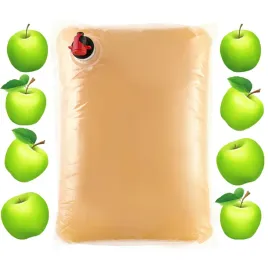 sok-jablkowy-jablko-wytrawne-tloczony-100percent-nfc-naturalny-do-koktajli-5l