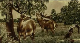 dywan-makata-na-sciane-przy-lozku-polski-jelenie-oliwka-weltom-100x210-cm