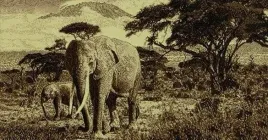makata-dywanik-na-sciane-ozdobna-wetom-safari-afryka-slonie-bez-100x210-cm