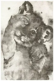 dywan-szary-miekki-mlodziezowy-z-lwiatkiem-do-pokoju-dzieci-lima-140x190-cm