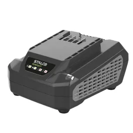 ladowarka-25a-bcp60-25a-60v-stalco-perfect-s052698894