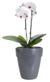 oslonka-ceramiczna-na-storczyka-szara-ozdobna-13x14-cm